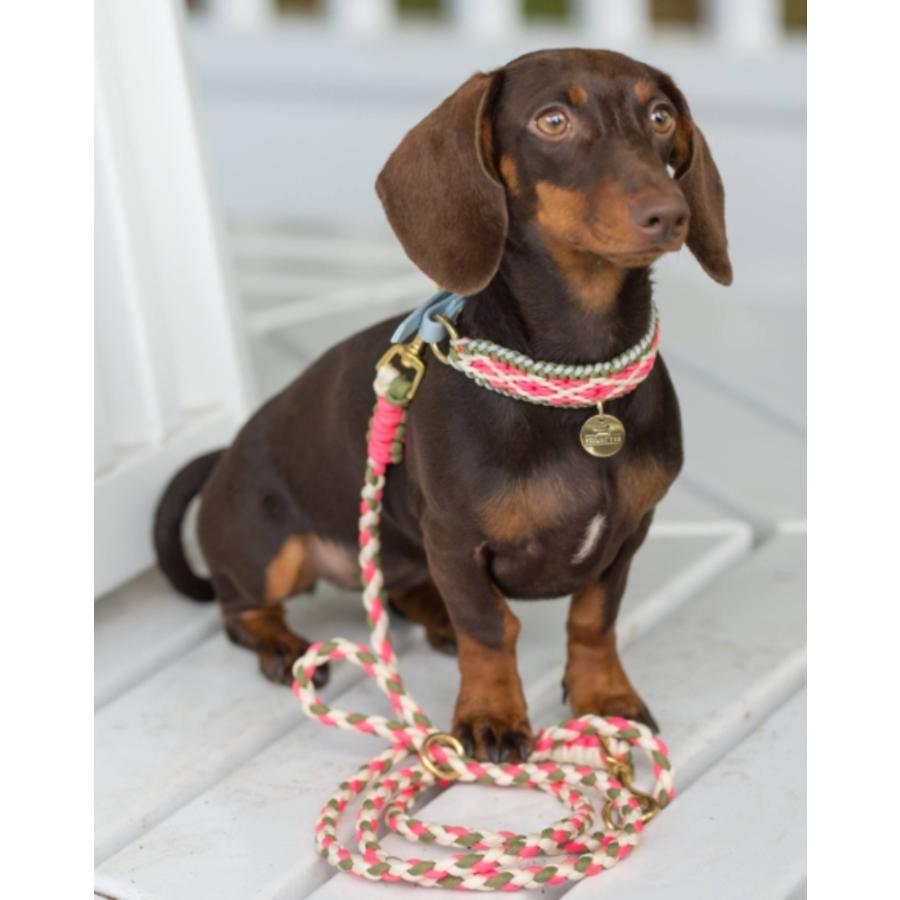 パラコード 4mm 100m リール 式 カラフル ひも テント ロープ ガイ 7芯