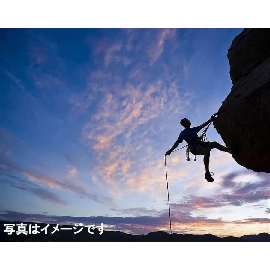 クライミング ロープ 8mm 10m ザイル ガイ 登山 キャンプ アウトドア