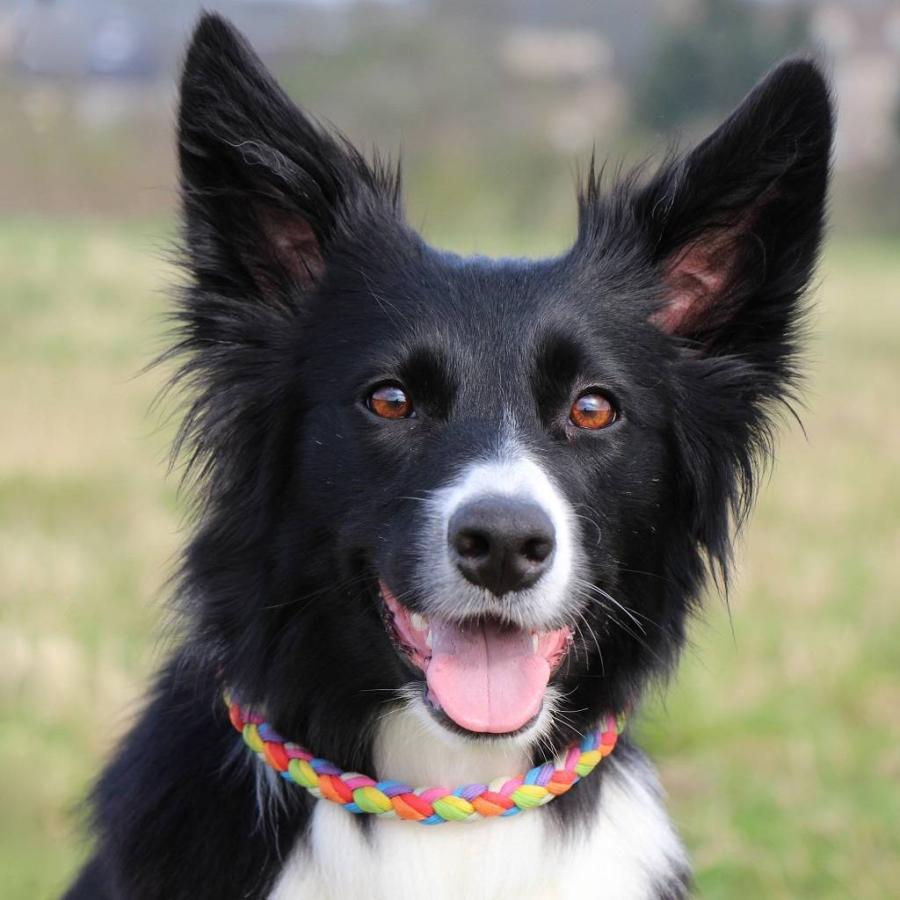 MILK cloudコート　レインボー KiU/キウ レインポンチョ デイリー K319-294 レインコート 雑貨