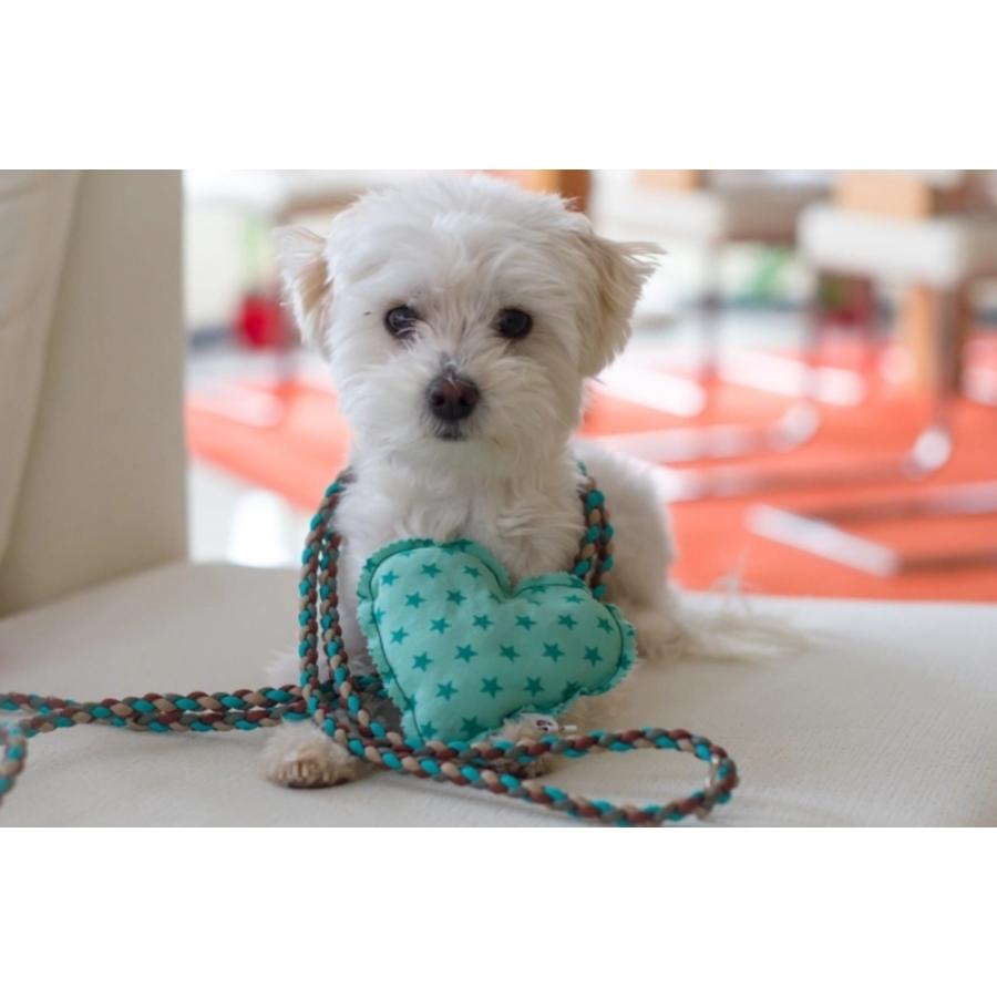 パラコード 2mm 30m カラフル ひも テント ロープ 耐荷重 90kg キャンプ アウトドア サバイバル キーホルダー ブレスレット 首輪 などに |  | 85