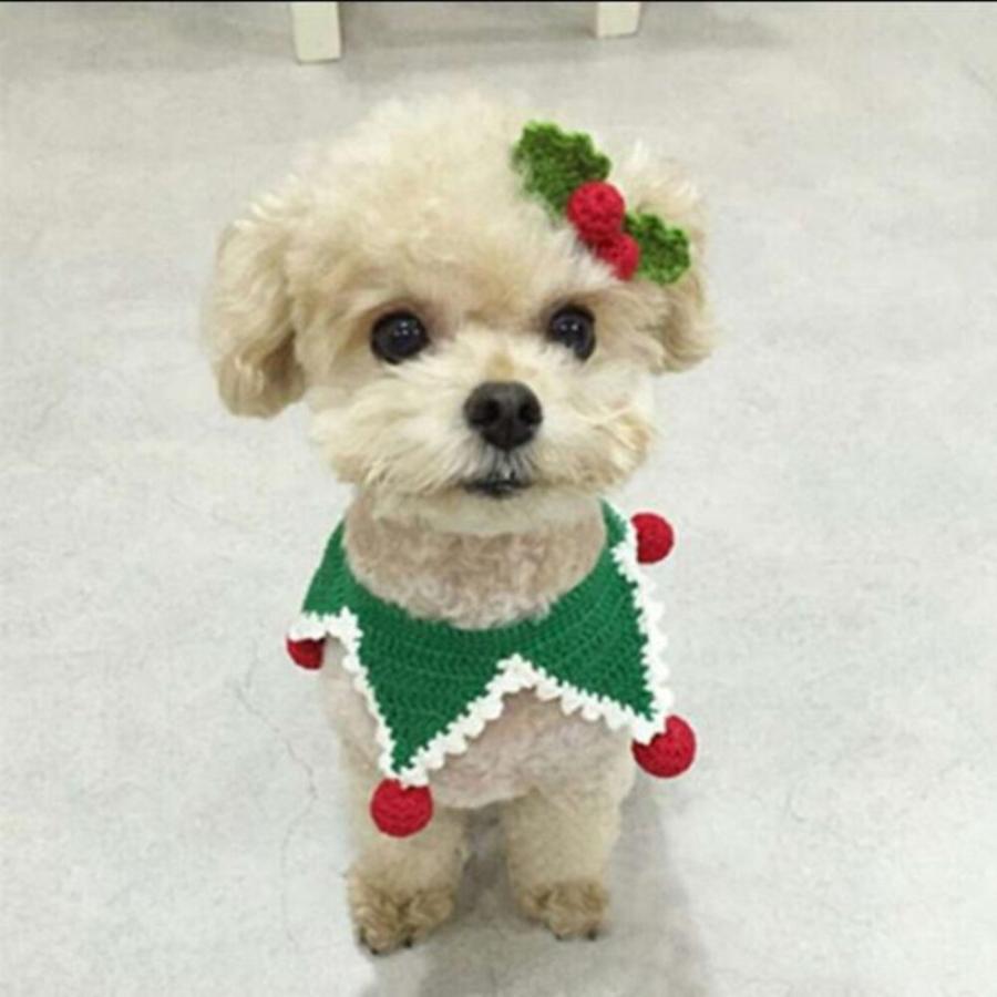 パラコード 2mm 30m カラフル ひも テント ロープ 耐荷重 90kg キャンプ アウトドア サバイバル キーホルダー ブレスレット 首輪 などに |  | 88