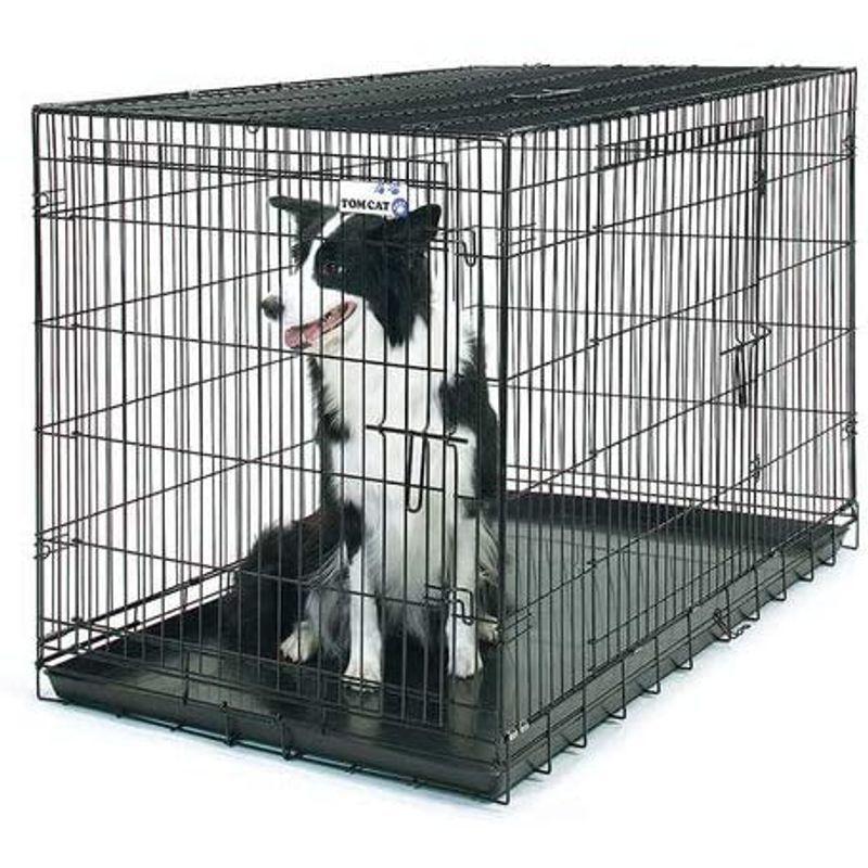 「人气商品」 トムキャット トムクレイト5000 【1906610560】(10325円)