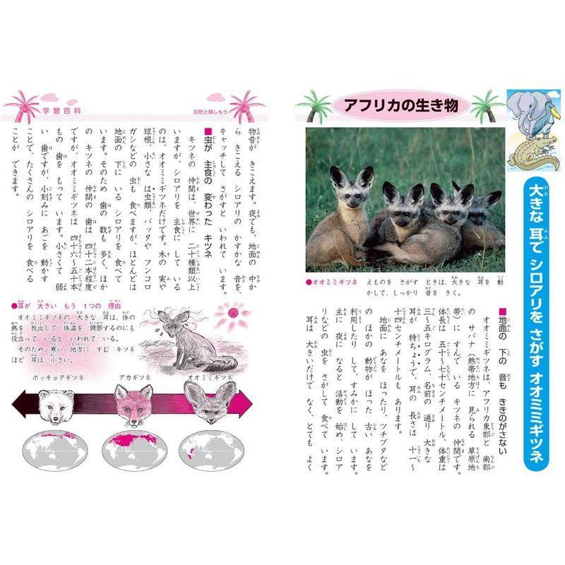 ショウワノート ジャポニカ学習帳 B5判 漢字練習 91字 5冊パック Jl 49 1 5 Lnxvvl1eom キッチン 日用品 文具 Editorialdismes Com