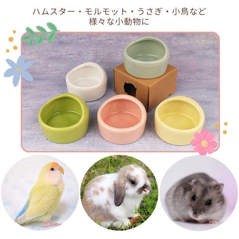 25 Off 鳥用品 Iikuru 2個セット ハムスター 水飲み 餌入れ 陶器 ハリネズミ えさいれ えさ皿 セット ジャンガリアン ゴールデン キンクマ エサ Www Threeriversofs Com