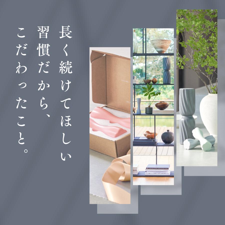 STEADY（ステディ） ダンベル 2個セット 飾れる コンパクト 強グリップ