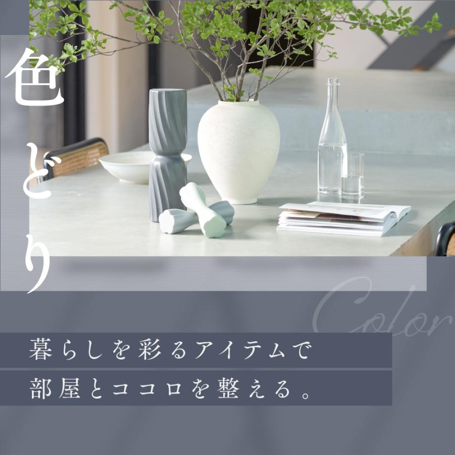 STEADY（ステディ） ダンベル 2個セット 飾れる コンパクト 強グリップ