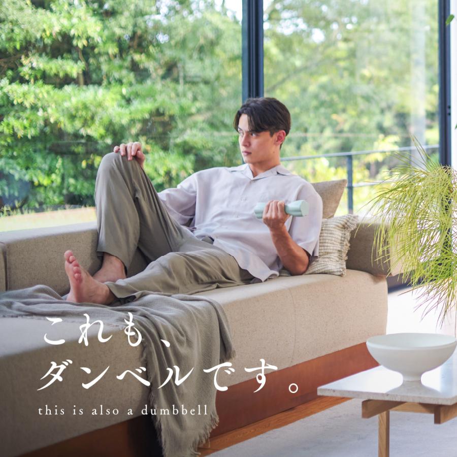 STEADY（ステディ） ダンベル 2個セット 飾れる コンパクト 強グリップ