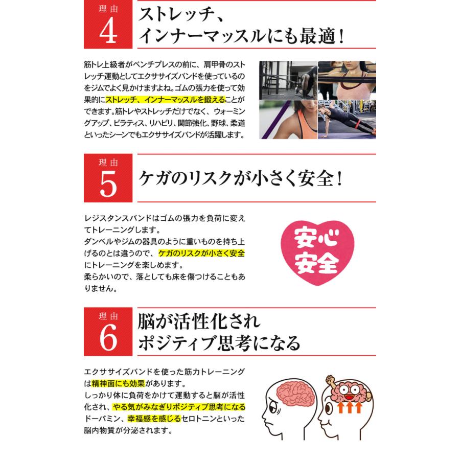 STEADY トレーニングチューブ 赤 強度ソフト トレーニング動画付