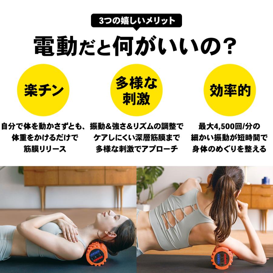 STEADY 電動フォームローラー 最大振動数4500回/分 トレーニング STEADY 電動フォームローラー 最大振動数4500回/分 トレーニング