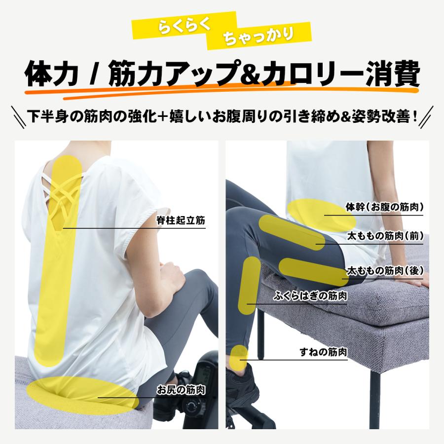 STEADY 【2024年新型】ミニフィットネスバイク 足元 静音 小型