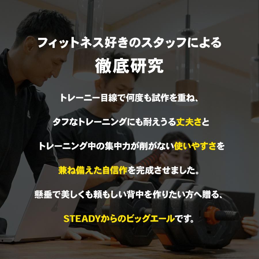 STEADY（ステディ） 懸垂アシストチューブ 懸垂補助 ハンドル付き 最大