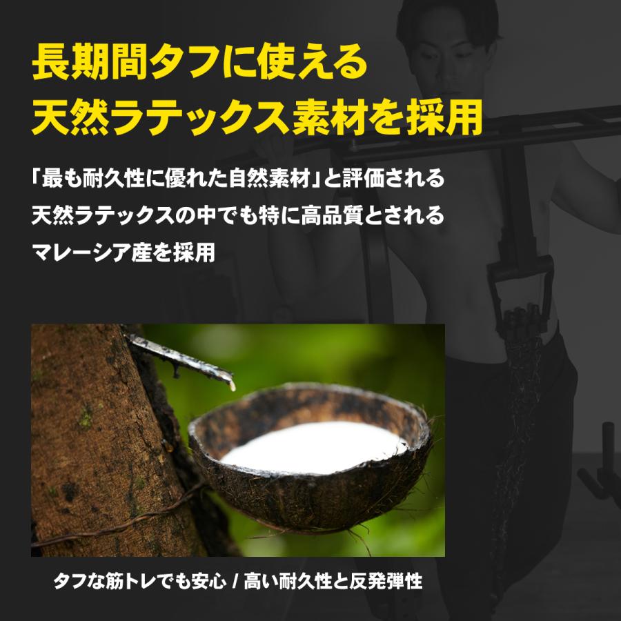 STEADY（ステディ） 懸垂アシストチューブ 懸垂補助 ハンドル付き 最大