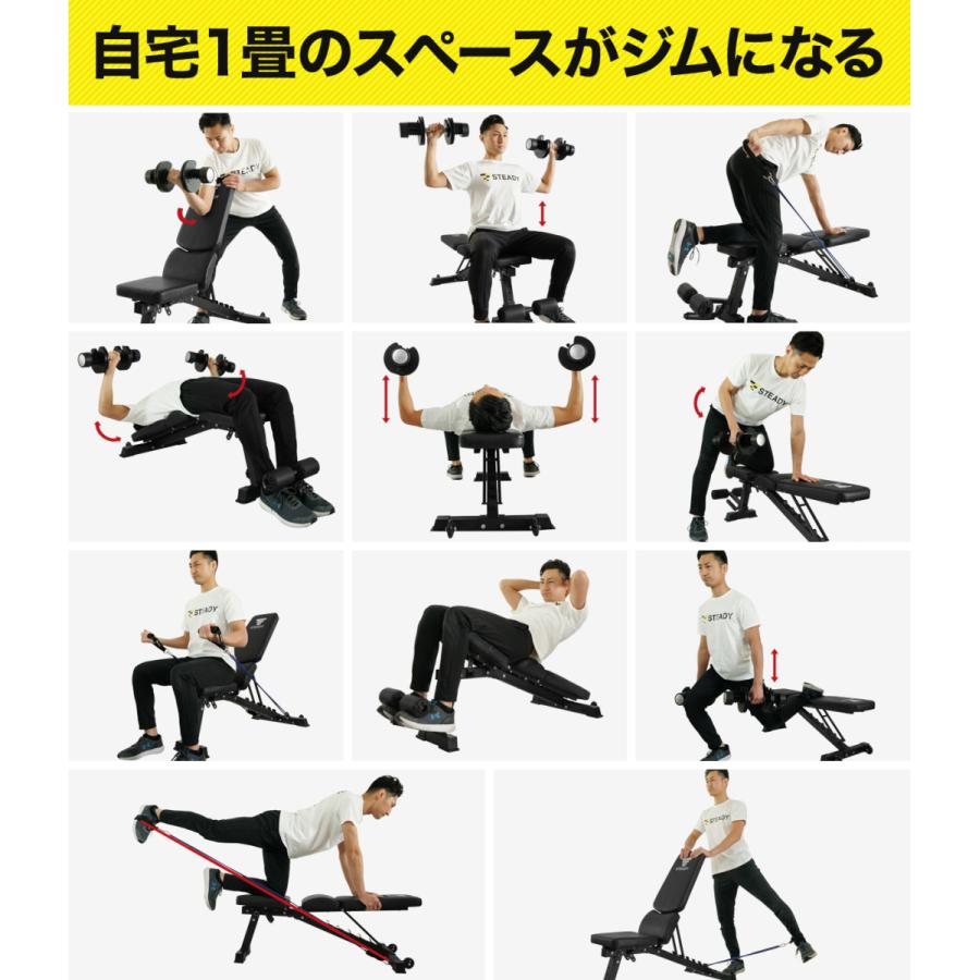 STEADY トレーニングベンチ (アドバンスモデル) 独自のBack STEADY トレーニングベンチ (アドバンスモデル) 独自のBack