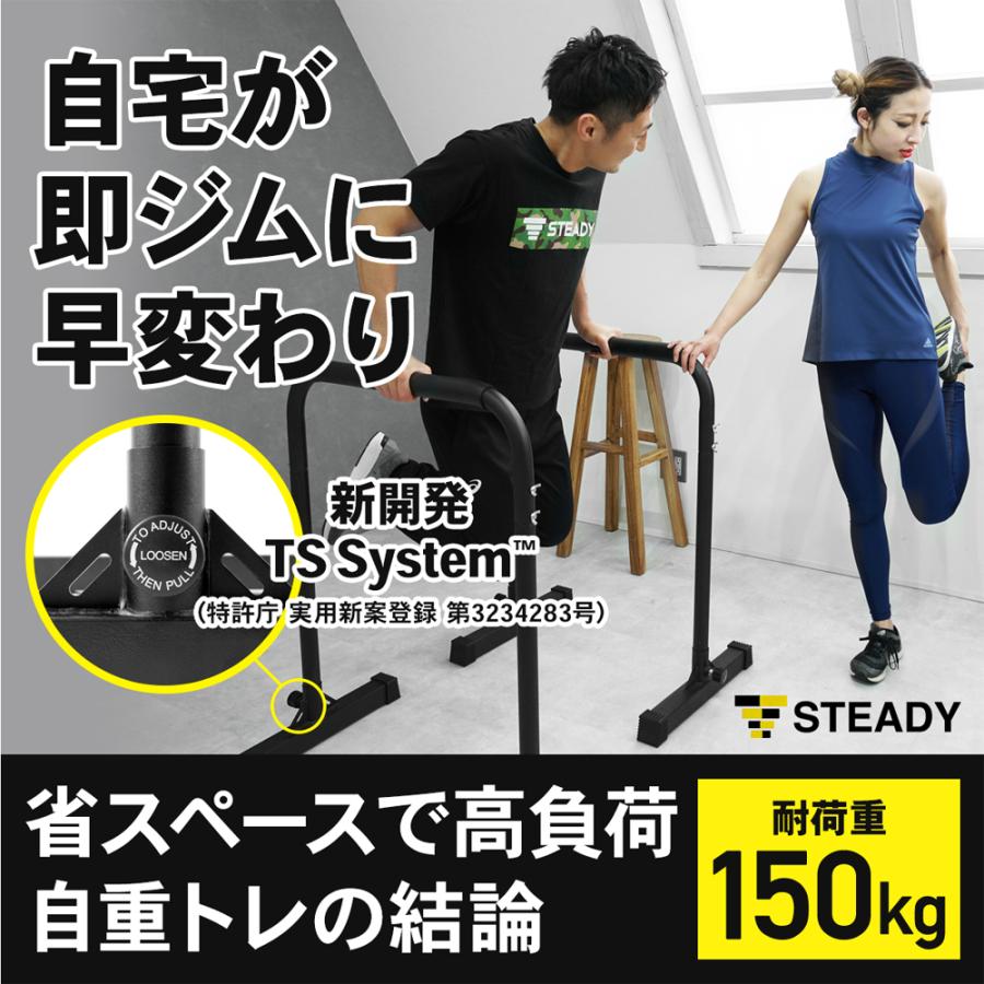 STEADY ディップススタンド 新開発TS System支柱 耐荷重150kg STEADY ディップススタンド 新開発TS System支柱 耐荷重150kg
