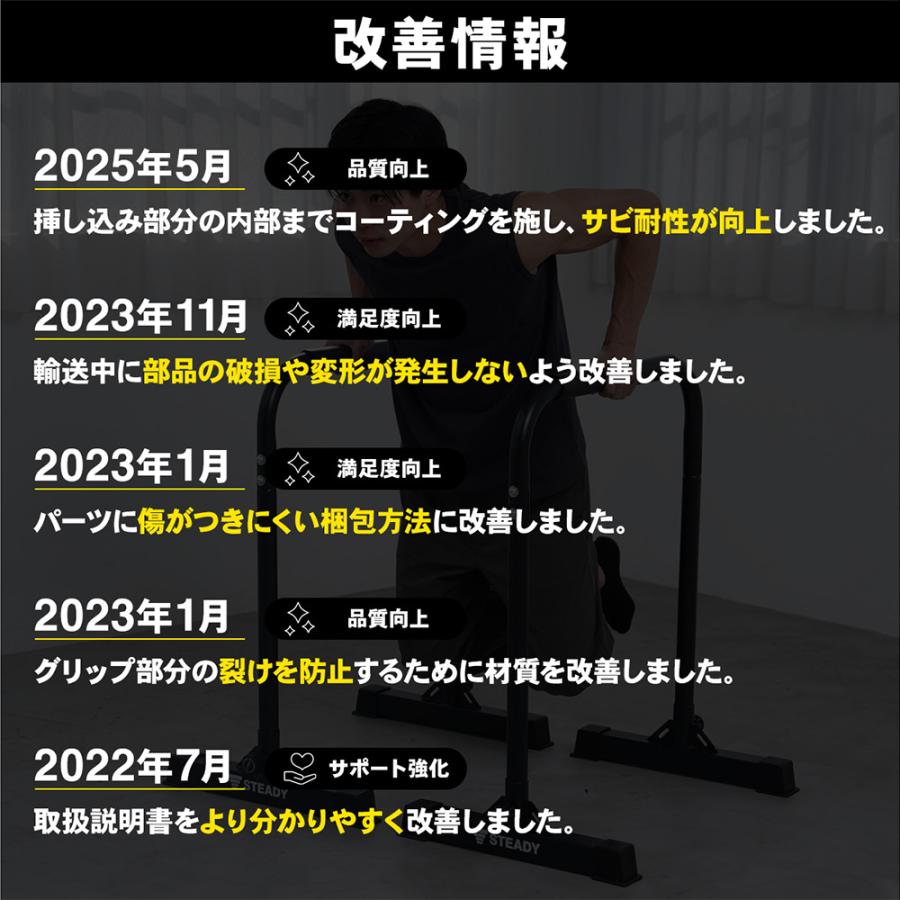 STEADY ディップススタンド 新開発TS System支柱 耐荷重150kg