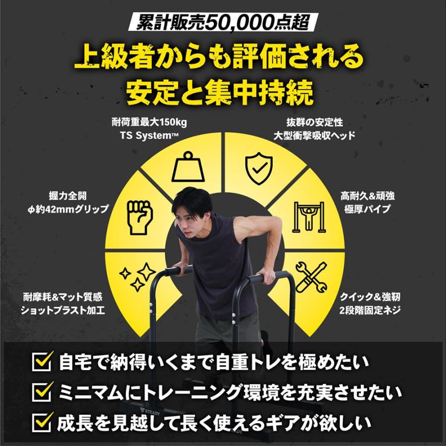 STEADY ディップススタンド 新開発TS System支柱 耐荷重150kg