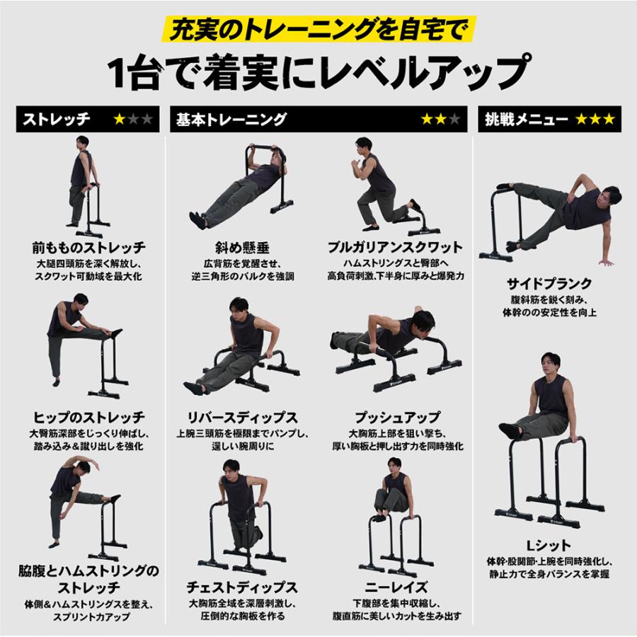 STEADY ディップススタンド 新開発TS System支柱 耐荷重150kg