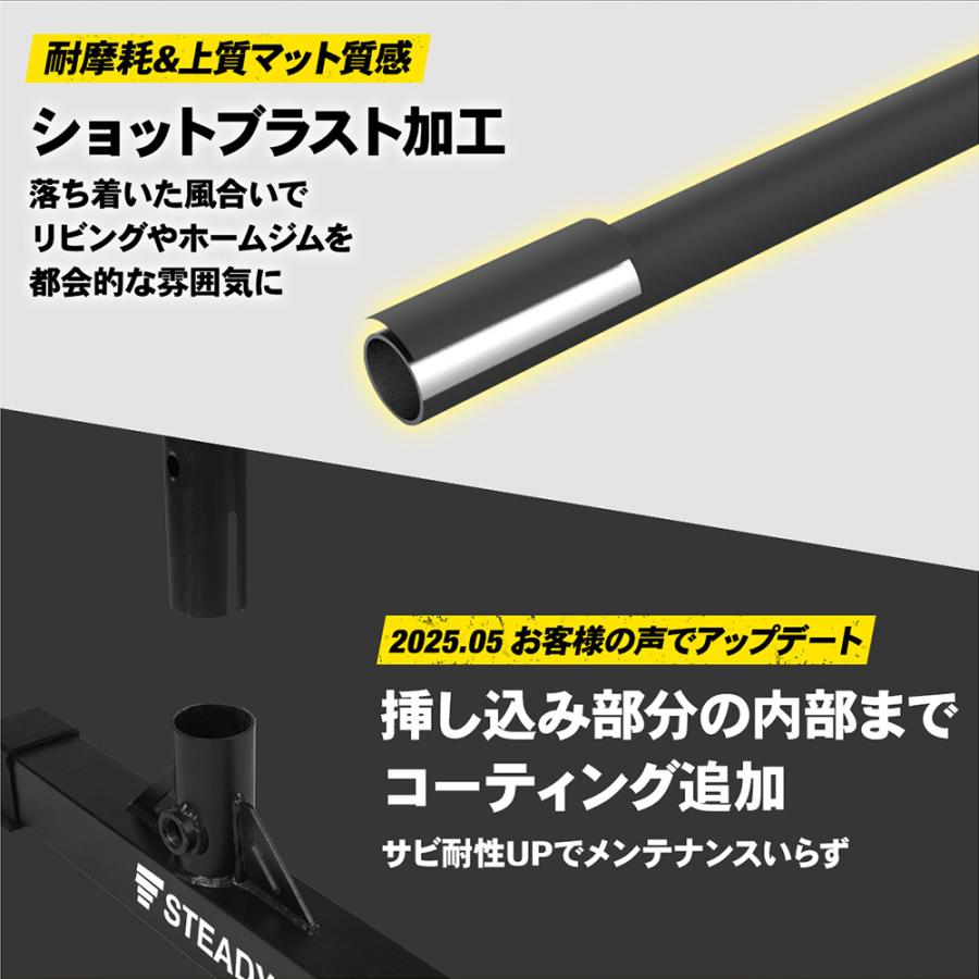 STEADY ディップススタンド 新開発TS System支柱 耐荷重150kg