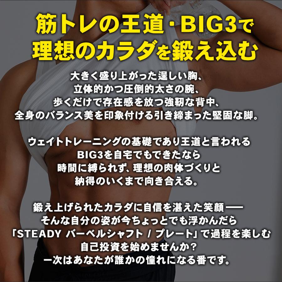 STEADY バーベル 60kgセット [1年保証] (ステディ) ST129-60kg