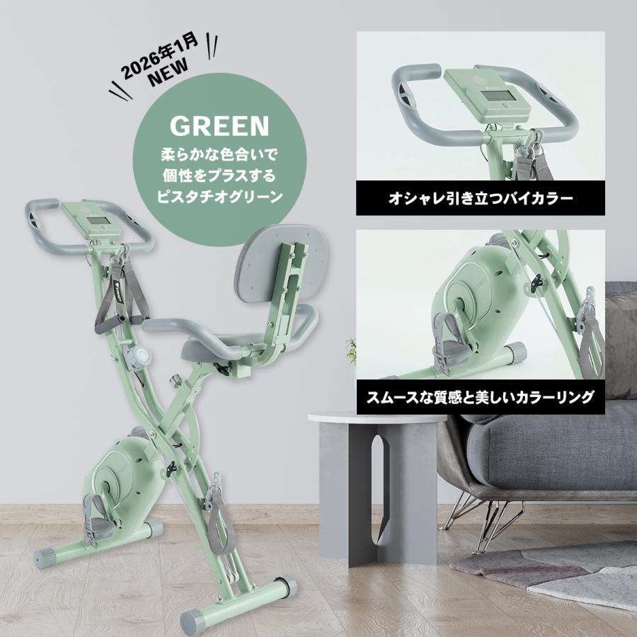 STEADY（ステディ） フィットネスバイク 静音 家庭用 バンド付き 有