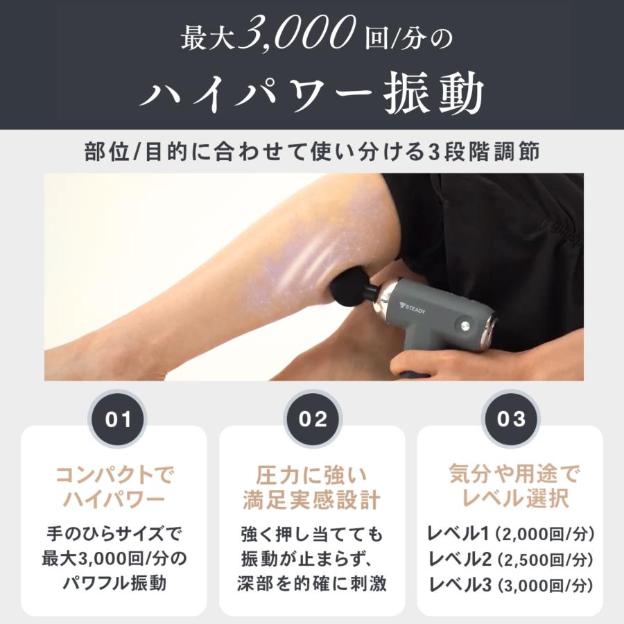 STEADY EMS美容&リリースガン【3in1/軽量/独自のスカルプ STEADY EMS美容&リリースガン【3in1/軽量/独自のスカルプ