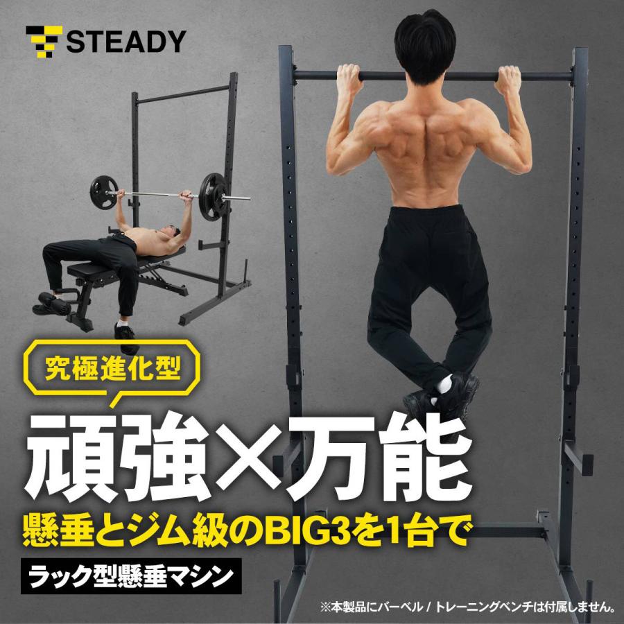 STEADY 懸垂マシン ラック型 耐荷重300kg 25段階調整 本格BIG3