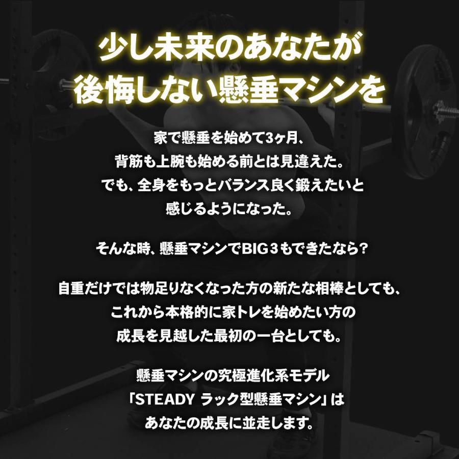 ラック型 懸垂マシン【25段階調整/耐荷重300kg/本格BIG3/快適ベンチプ Amazon | STEADY ラック型 懸垂マシン【25段階調整/耐荷重300kg