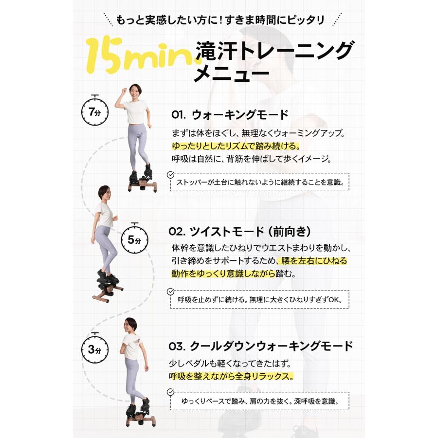 STEADY（ステディ） ツイストステッパー ステッパー 静音 3WAY 家庭用