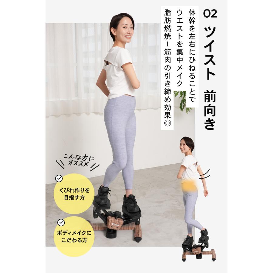 STEADY（ステディ） ツイストステッパー ステッパー 静音 3WAY 家庭用