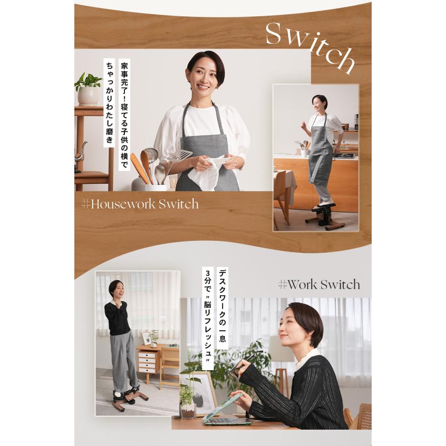 STEADY（ステディ） ツイストステッパー ステッパー 静音 3WAY 家庭用