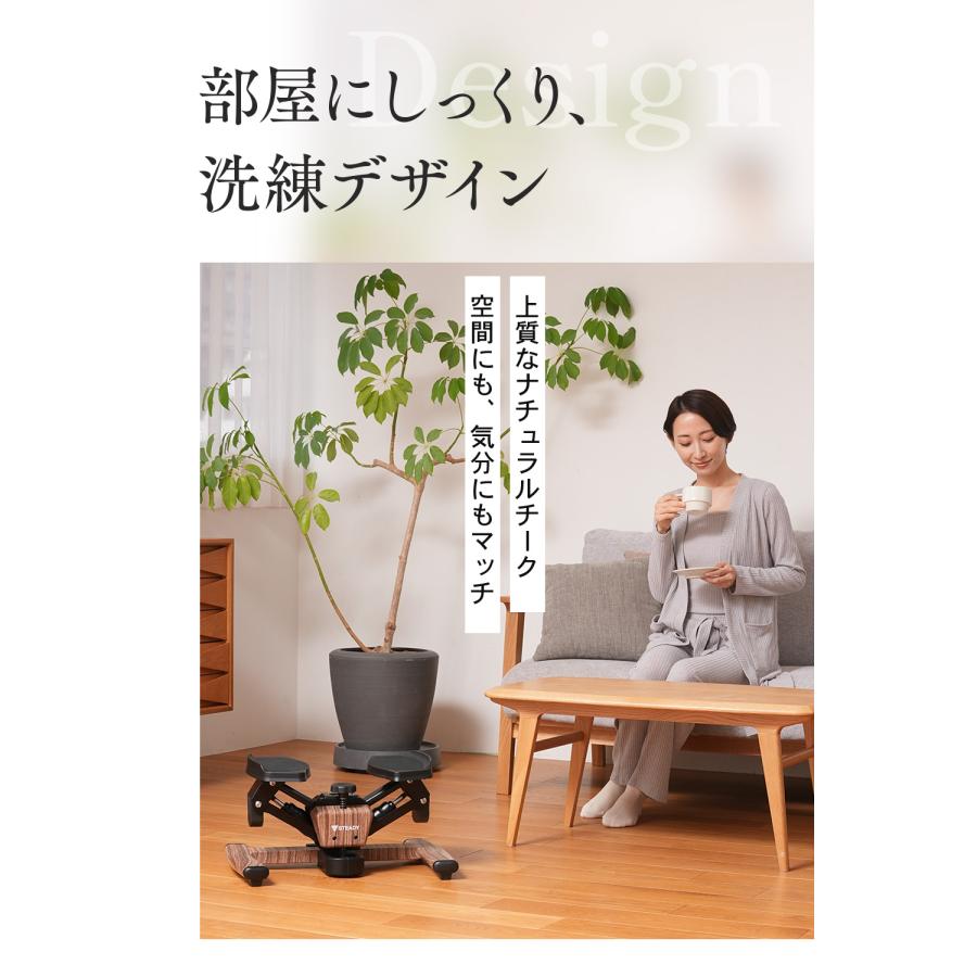 STEADY（ステディ） ツイストステッパー ステッパー 静音 3WAY 家庭用
