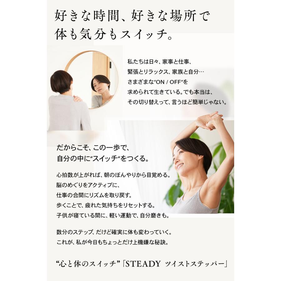 STEADY（ステディ） ツイストステッパー ステッパー 静音 3WAY 家庭用