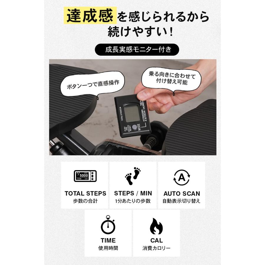 STEADY（ステディ） ツイストステッパー ステッパー 静音 3WAY 家庭用