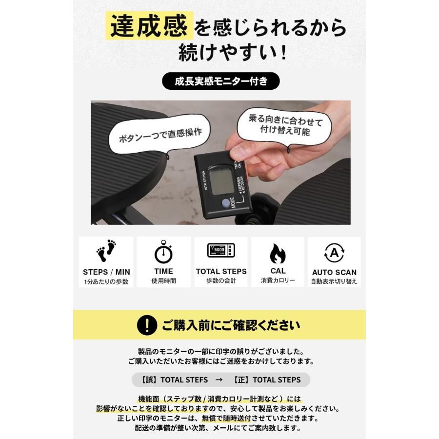 STEADY（ステディ） ツイストステッパー ステッパー 静音 3WAY 家庭用