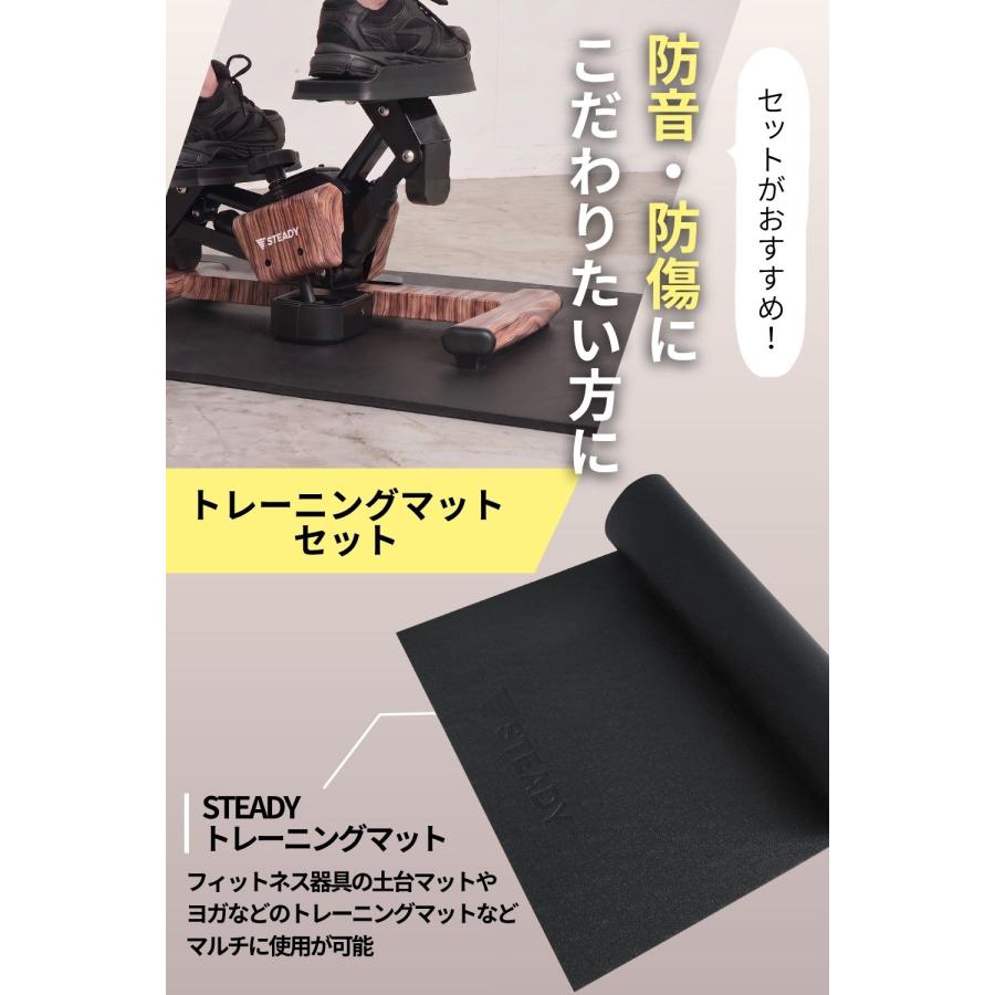STEADY ツイストステッパー STEADY（ステディ） ツイストステッパー ステッパー 静音 3WAY 家庭用