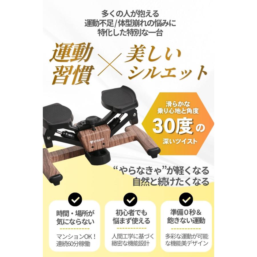 STEADY ツイストステッパー 3Way STEADY（ステディ） ツイストステッパー ステッパー 静音 3WAY 家庭用