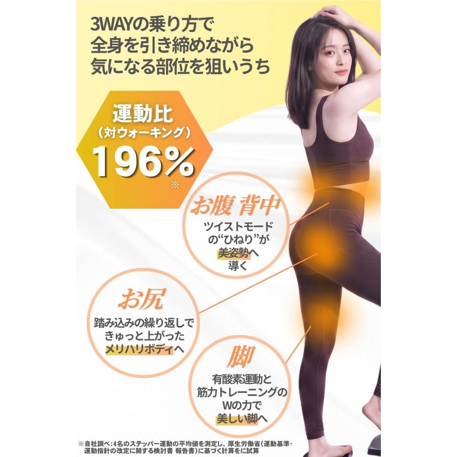 STEADY（ステディ） ツイストステッパー ステッパー 静音 3WAY 家庭用