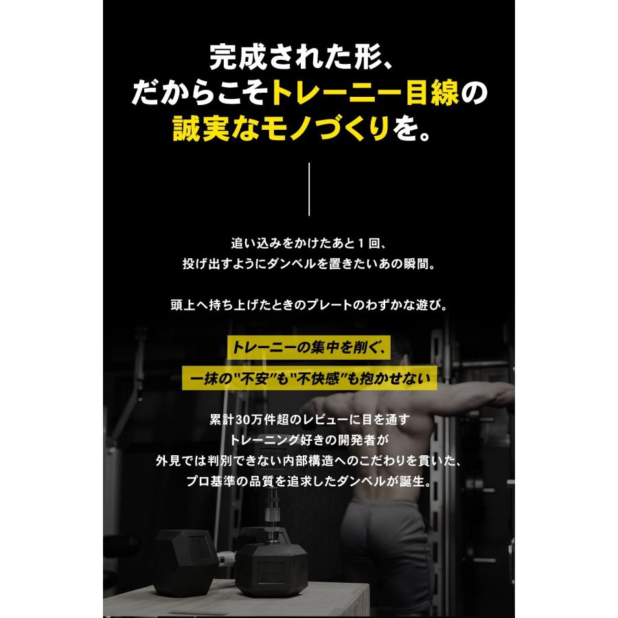 STEADY（ステディ） ヘックスダンベル Solid【30kg×2個セット】3kg 5kg 