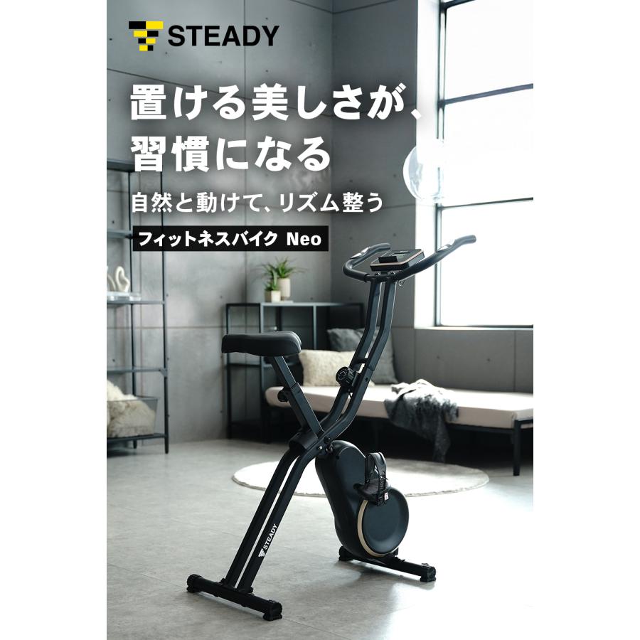 STEADY（ステディ） フィットネスバイクNeo（マット付き） マット