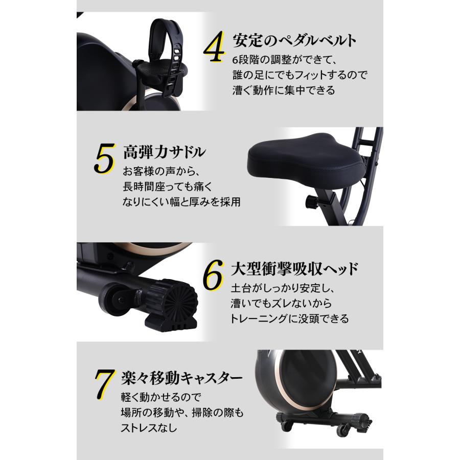 STEADY（ステディ） フィットネスバイクNeo マットブラック×ゴールド 1