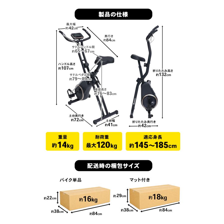 STEADY（ステディ） フィットネスバイクNeo マットブラック×ゴールド 1