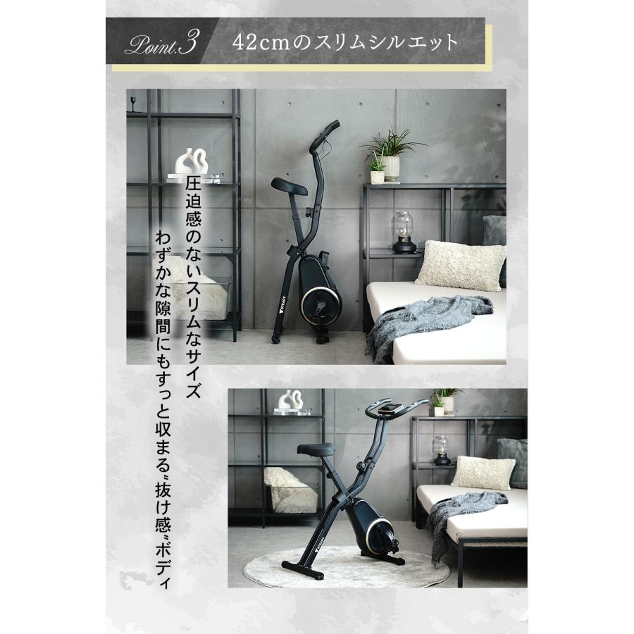 STEADY（ステディ） フィットネスバイクNeo マットブラック×ゴールド 1