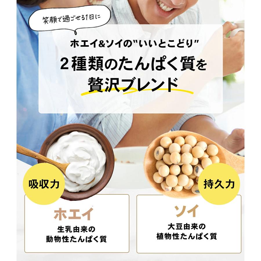 STEADY（ステディ） プロテイン 完全栄養食 置き換え ホエイ ソイ 食物