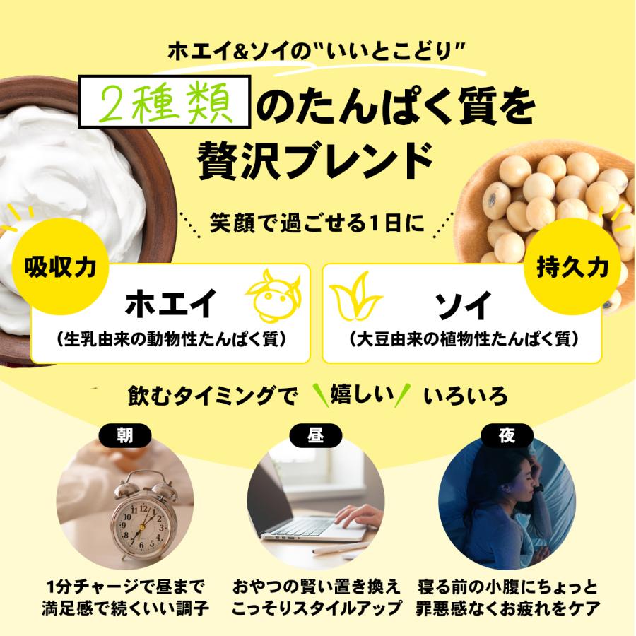 STEADY（ステディ） プロテイン 6点セット 完全栄養食 置き換え ホエイ