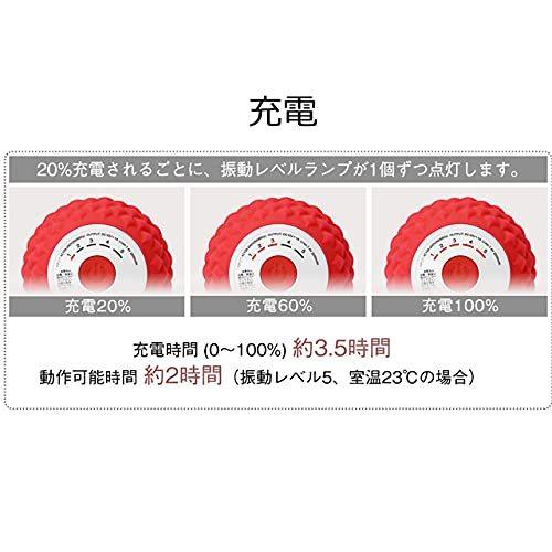 東急スポーツオアシス シェイプツインボール 振動型フィットネスマシン