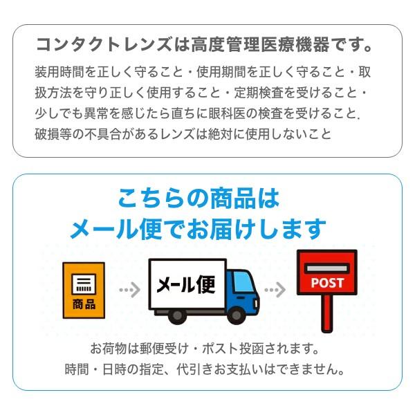 ロートモイストアイ乱視用 2箱(1箱6枚) コンタクトレンズ 2week｜maeda19800416｜07