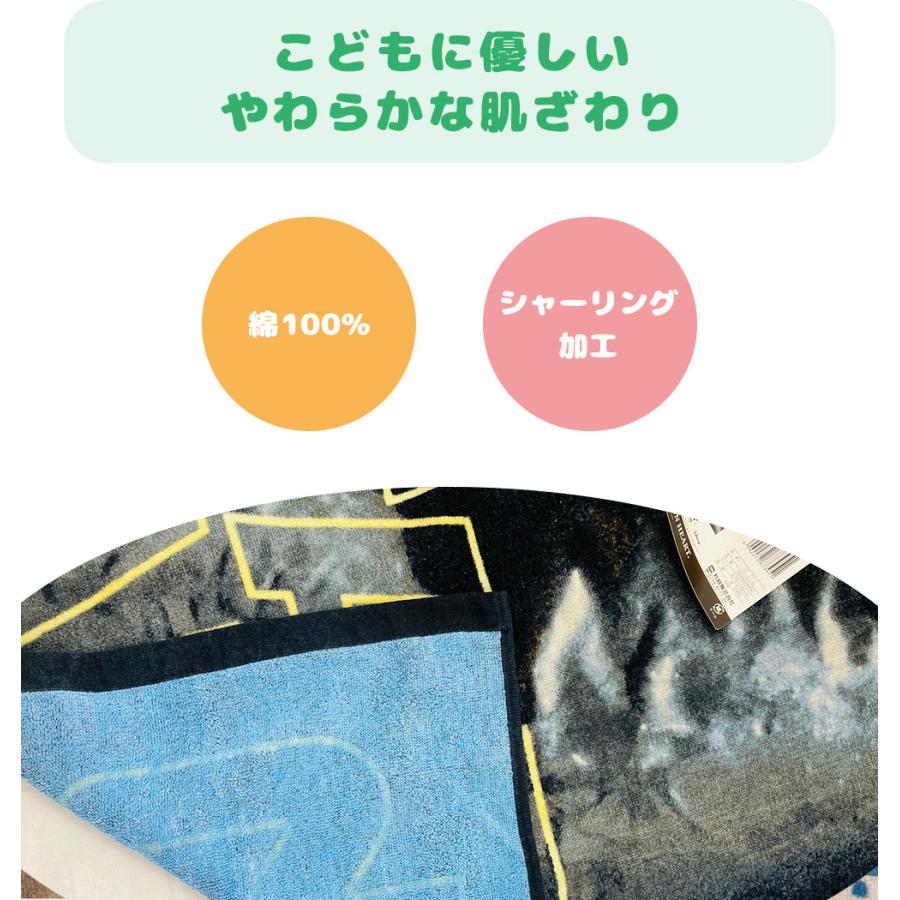 Disney（ディズニー） バスタオル 大判 ビーチタオル キャラクター