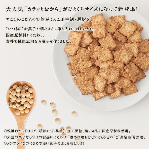 ひとくち カラッとおから 健康 おやつ お菓子 スナック クラッカー