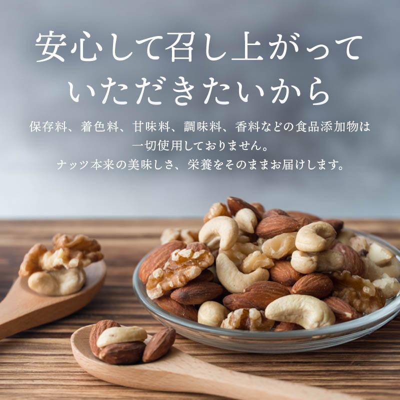 MAEDAYA 前田家 5種のミックスナッツ 240g 無塩 無油 くるみ