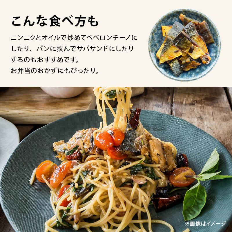 MAEDAYA 前田家 おつまみ 国産 炙り鯖ジャーキー 300g 一口サイズ 国産